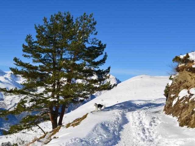 Col D'azet 5