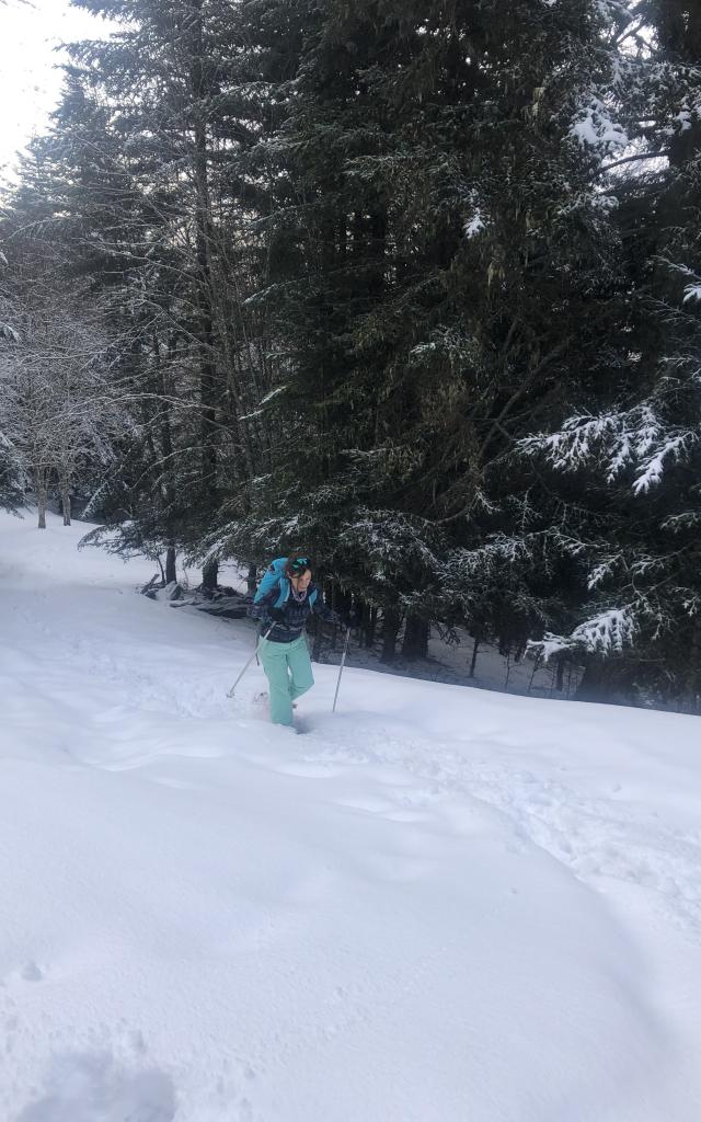 raquettes dans la forêt de La Coueuou