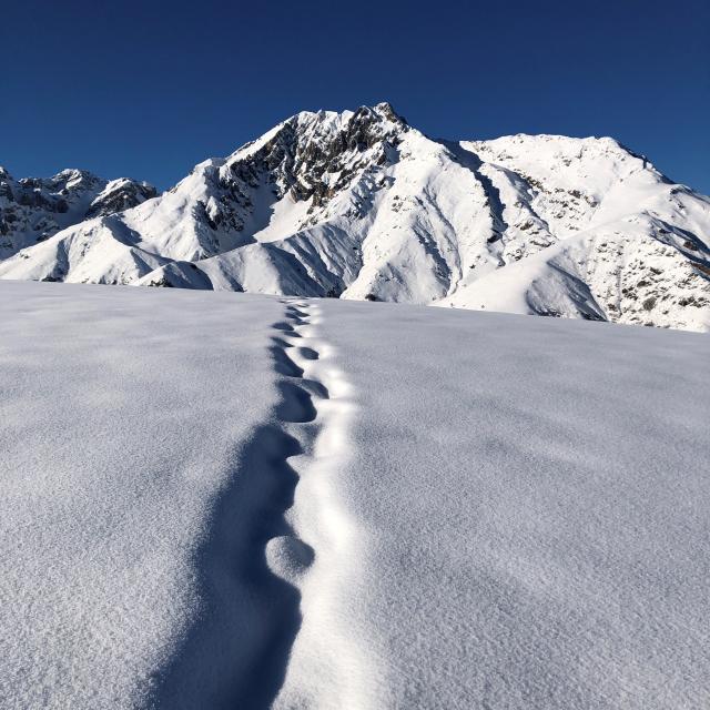 Crêtes De Grascoues Vue Sur Arbizon