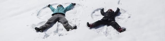 le papillon dans la neige à la pineta