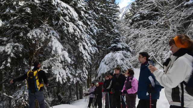 Rando Raquettes Au Pont Du Moudang 3