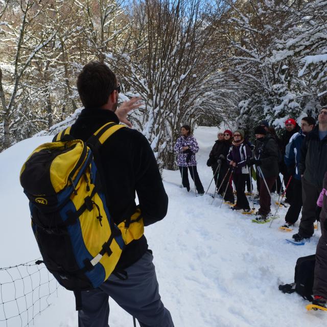 Rando Raquettes Au Pont Du Moudang 4