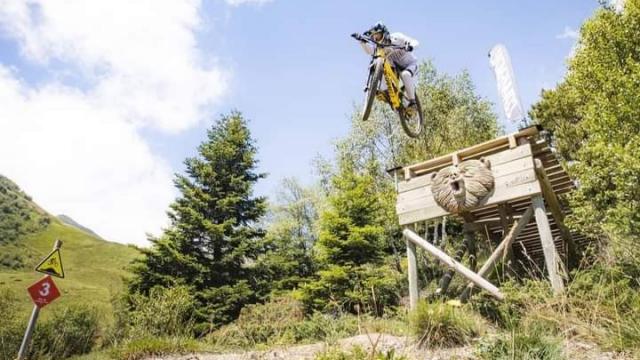 Vtt Bike Park Saut De L'ours