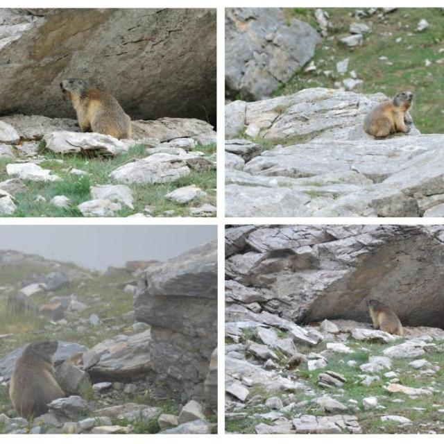 Lac De Barroude Par La Hourquette Marmottes