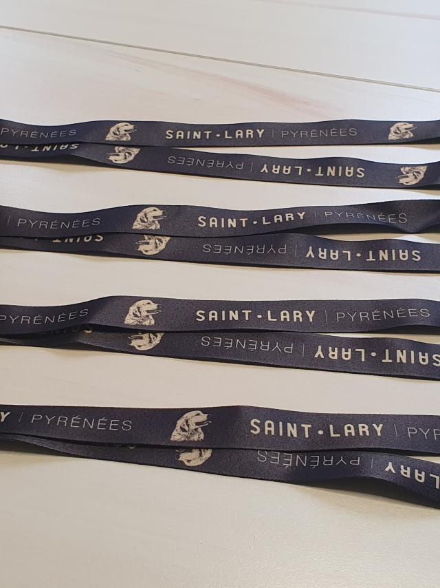 Lanyard