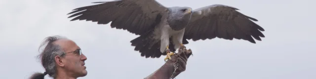 Les Aigles Daure Arreau 5