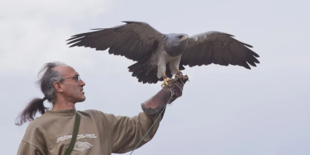 Les Aigles Daure Arreau 5